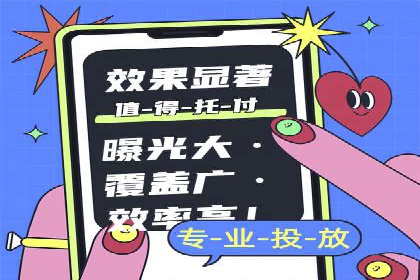 成功案例：网络推广与竞价广告的完美结合